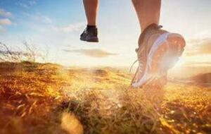 Trail de l'eau bourde