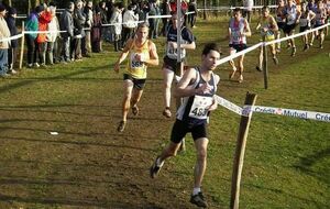 Foulee des sangliers